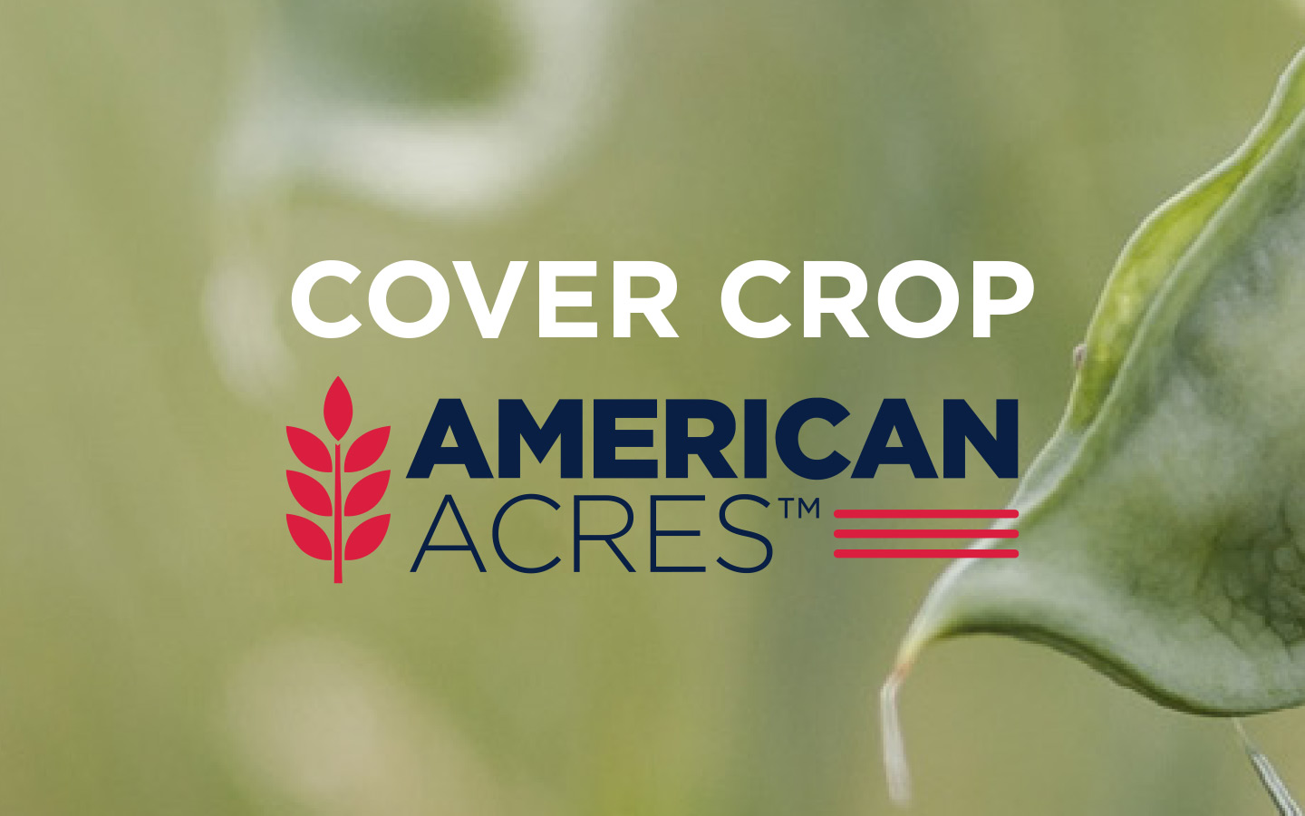 Cover Crop Catalog